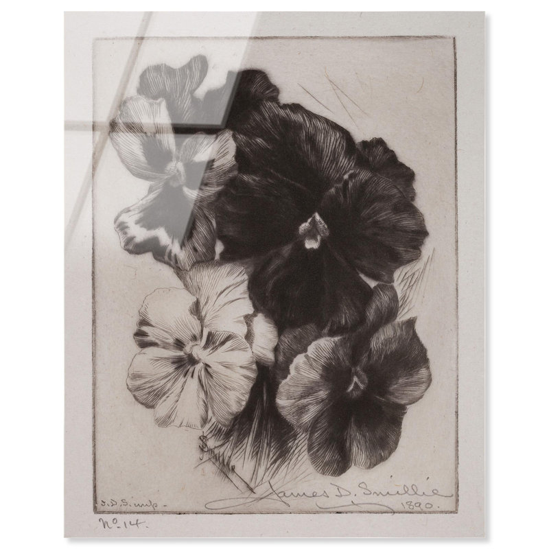 Art rétro de Victorian Pansies, reproduction d'art sur acrylique, H 20 po x l 16 po