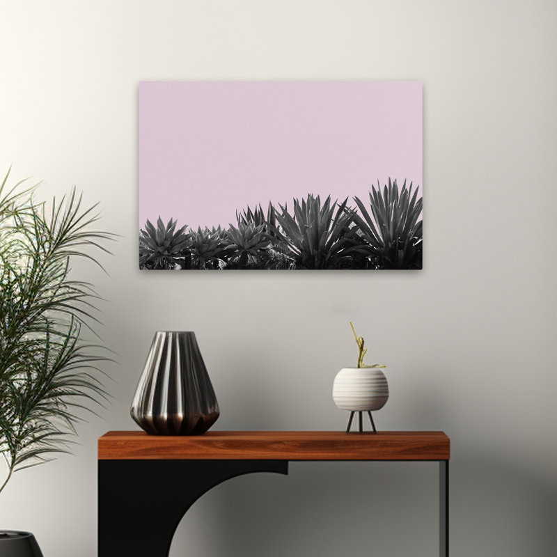 Paysage, nature, plantes, fleurs, jardin de plantes grasses, H 16 po x l 24 po