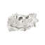 Rose Wood Burled Bowl, Silver