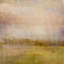 Lavender Field Print by Harris, Maeve-1857666653