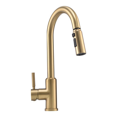 Belfry Kitchen Pull Out Kitchen Faucet