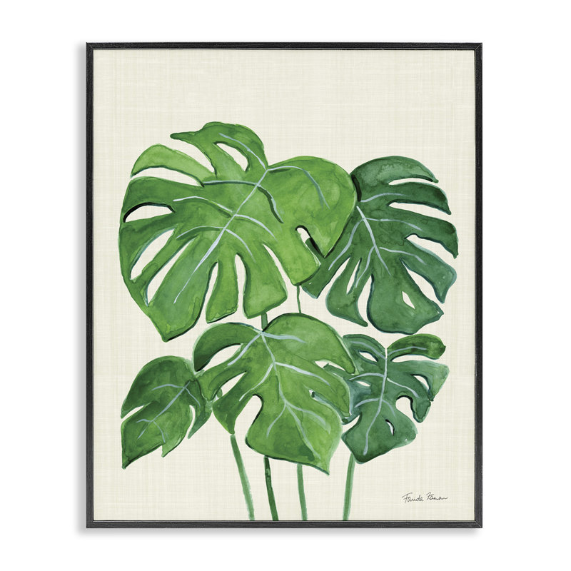«Green Monstera» par Farida Zaman bg-021, H 14 po x l 11 po, Giclée encadrée noir minuit