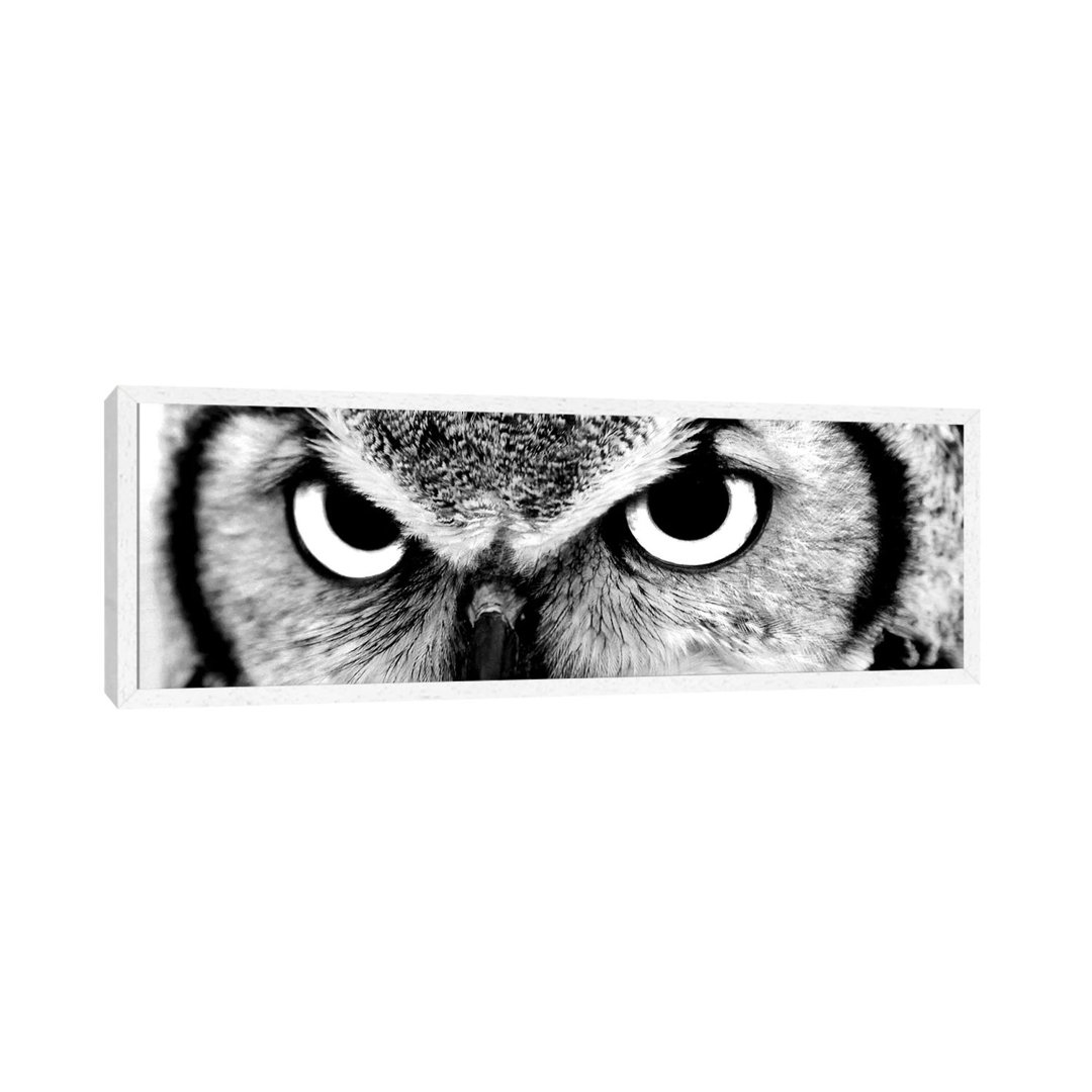 Owl Eyes von PhotoINC Studio - Floater Frame Panoramic Gallery-Wrapped Canvas Giclée on Canvas