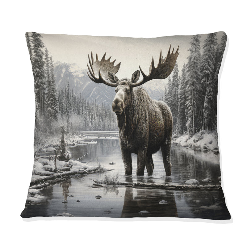 Coussin , H 18 po x l 18 po