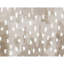 Hand Knotted Wool Striped Area Rug in Beige/Brown-810678571