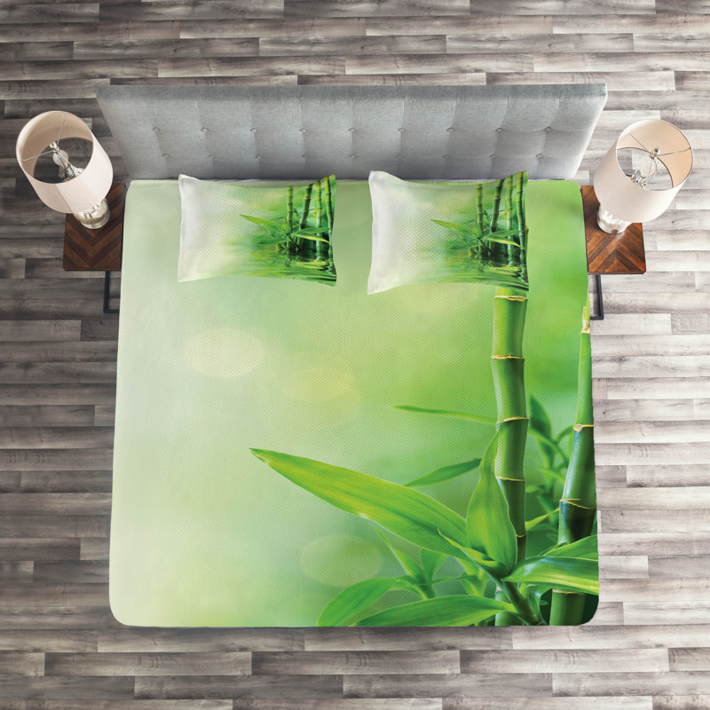 Eclectic Polyester Coverlet