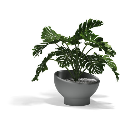 Luna Planter