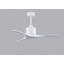 Nan 42" Ceiling Fan In Blades-1662758410-1611395847