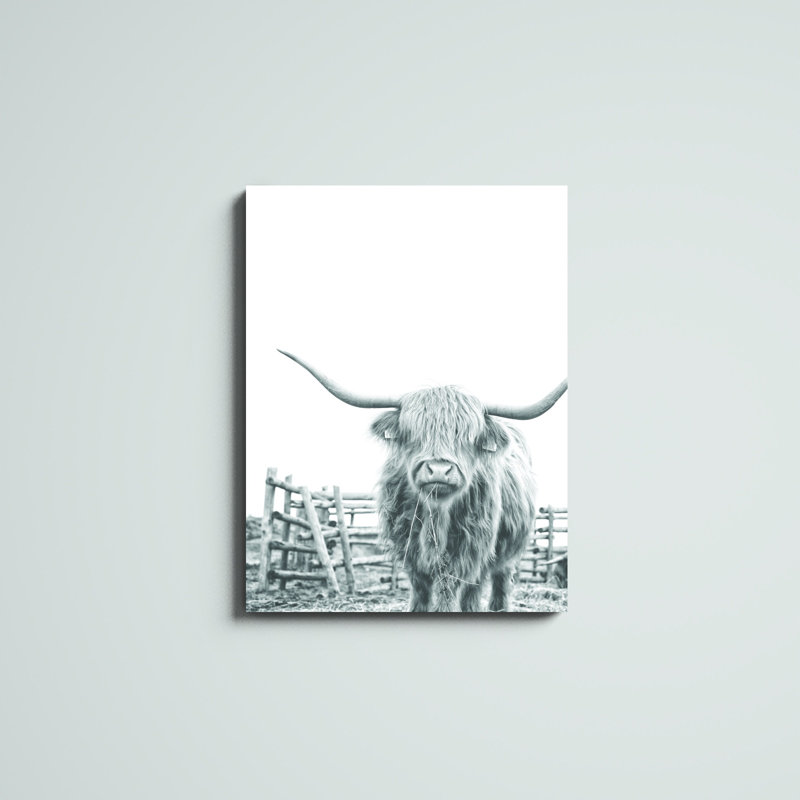 Noir et blanc Highland Cow - impression, H 32 po x l 24 po