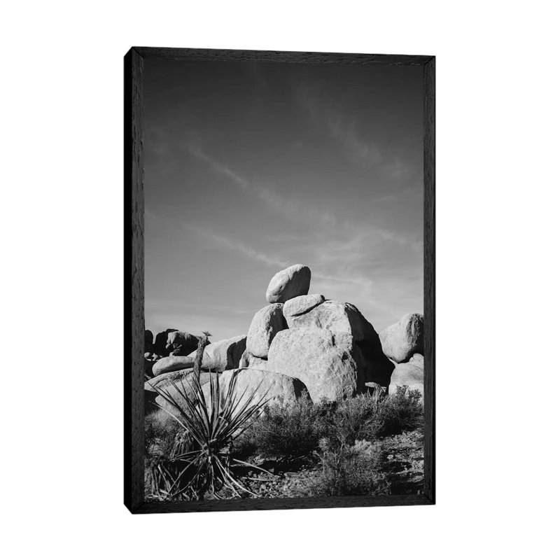 Joshua Tree National Park XIV by Bethany Young - Print on Canvas, Black Framed, 152.4cm H x 101.6cm W x 3.81cm D