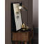 Himanshee Adjustable Metal Desk Lamp