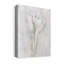 «Soft Shell II» par Tava Studios, reproduction d'art sur toile tendue-742211279