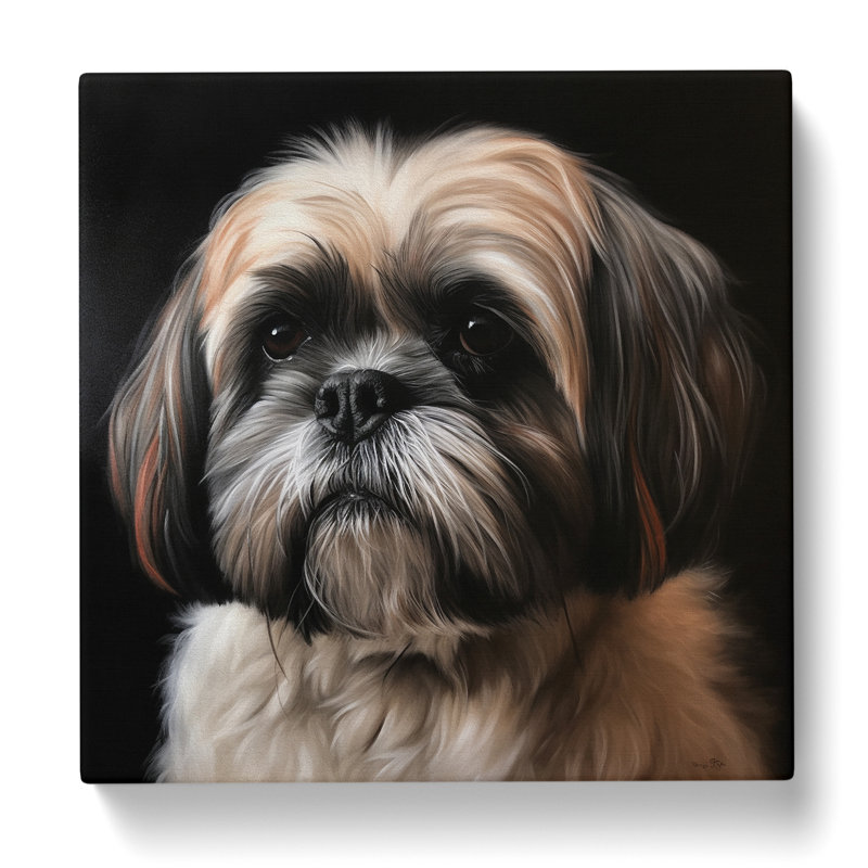 Shih Tzu Realism - No Frame Print, 35cm H x 35cm W x 3cm D