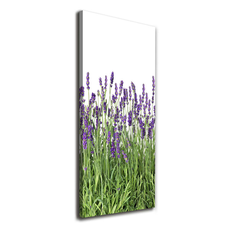Lavender Field - Wrapped Canvas Print