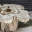  Table basse Anzalone