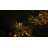 Solar Powered Garden and Tabletop Lights - 4 Count