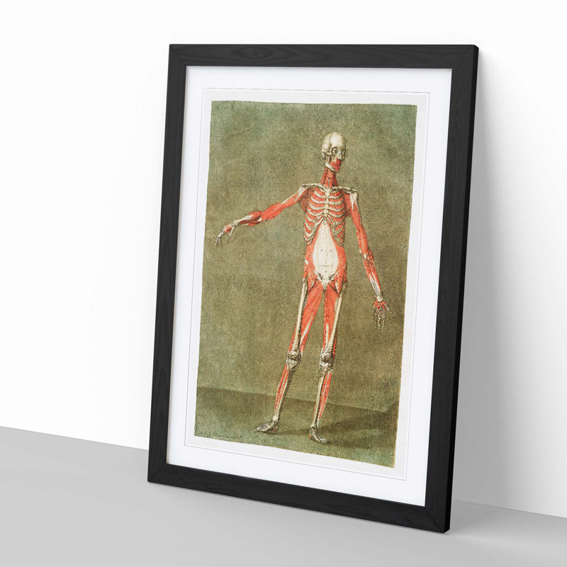 Anatomical Illustration of a Male No. 3 by Gautier-Dagoty - Picture Frame Painting Print, Black Framed