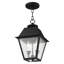 Lanterne suspendue d'extérieur 2 lumières Arnetria-22670195