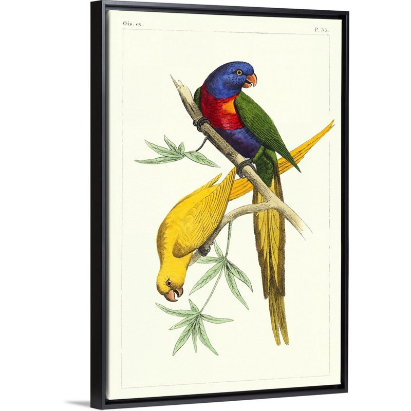 Art mural sur toile Lemaire Parrots IV, Toile encadrée noire, H 38 po x l 26 po x P 2 po
