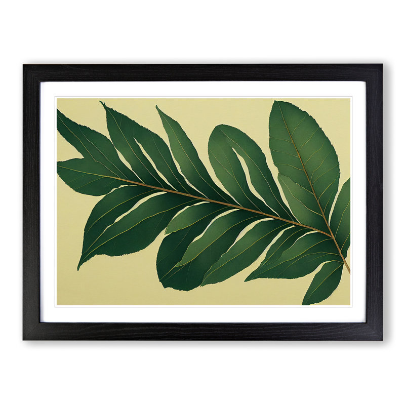 XH1022-7165X Pretty Leaves Vol.3 - Single Picture Frame Print, 46cm H x 64cm W, Black