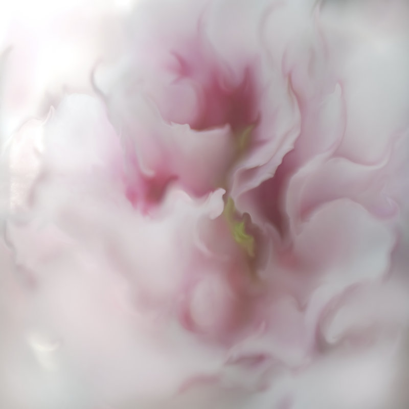 Hope In Pink IV by Gillian Hunt - Wrapped Canvas Painting, 51cm H x 51cm W