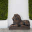 Statue de lion gardien MGO couché-311213131-311213128