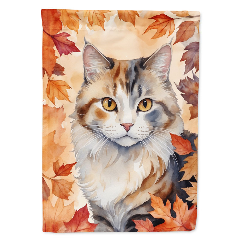 Chat en feuilles d'automne, American Curl