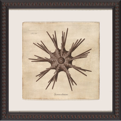 Sepia Sea Collection III Painting