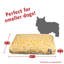 Coussin Fusion Orthopedic-35291719-35291723