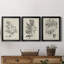 «Antique Black and White Botanical IV», ensemble de 3 peintures sur toile encadrées-508101472-508101476