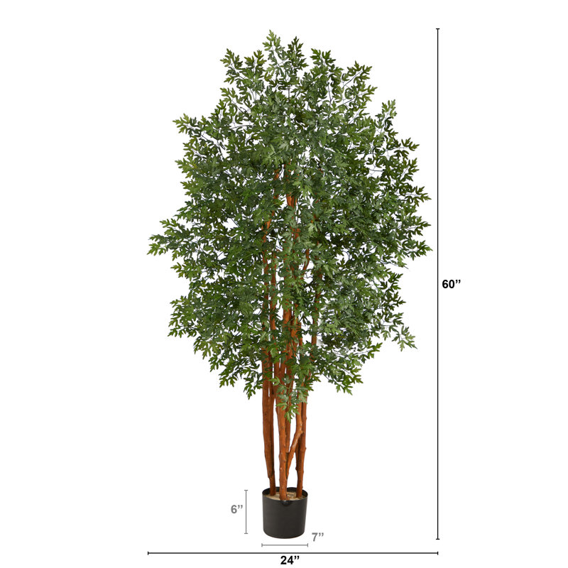 5 pi. Arbre artificiel Aralia