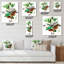 Horloge murale Plant Life-1687755788