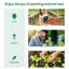 Mini serre chaude d'extérieur portative pour plantes de 71 po x 36 po x 28 po Outsunny