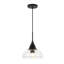 Giraldo 1 - Light Single Pendant-1441526060