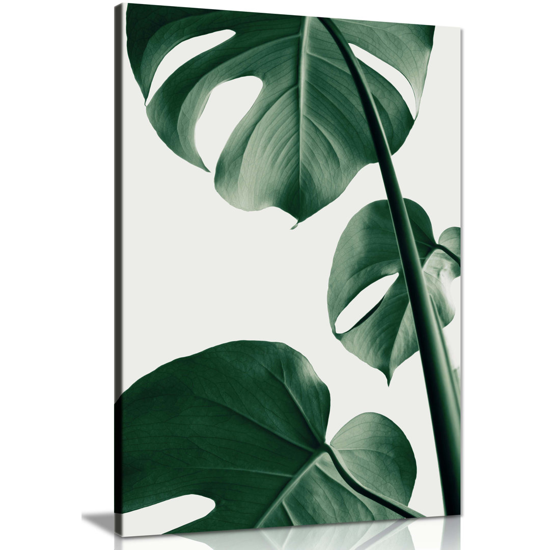 Monstera Plant 2 Leaves - Wrapped Canvas Photograph