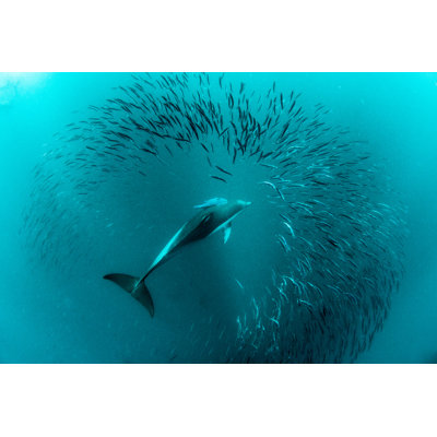 Hunting - Wrapped Canvas Print