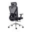 Chaise de bureau en maille vraiment ergonomique avec appui-tête et soutien lombaire