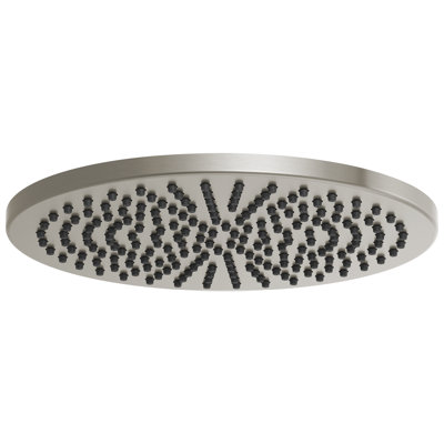 Essential™ Rain Adjustable Shower Head