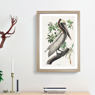 Brown Pelican by John Audubon - Picture Frame Graphic Art Print on MDF
