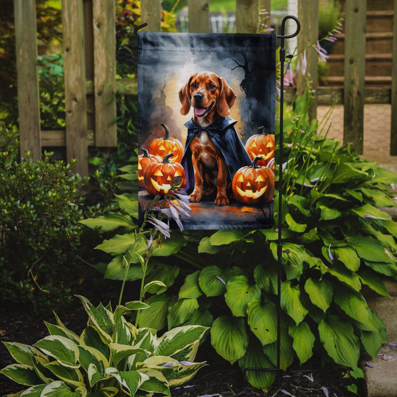 Drapeau de jardin chiot Halloween, Vizsla