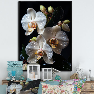 Orchidées blanches pétales d'élégance I