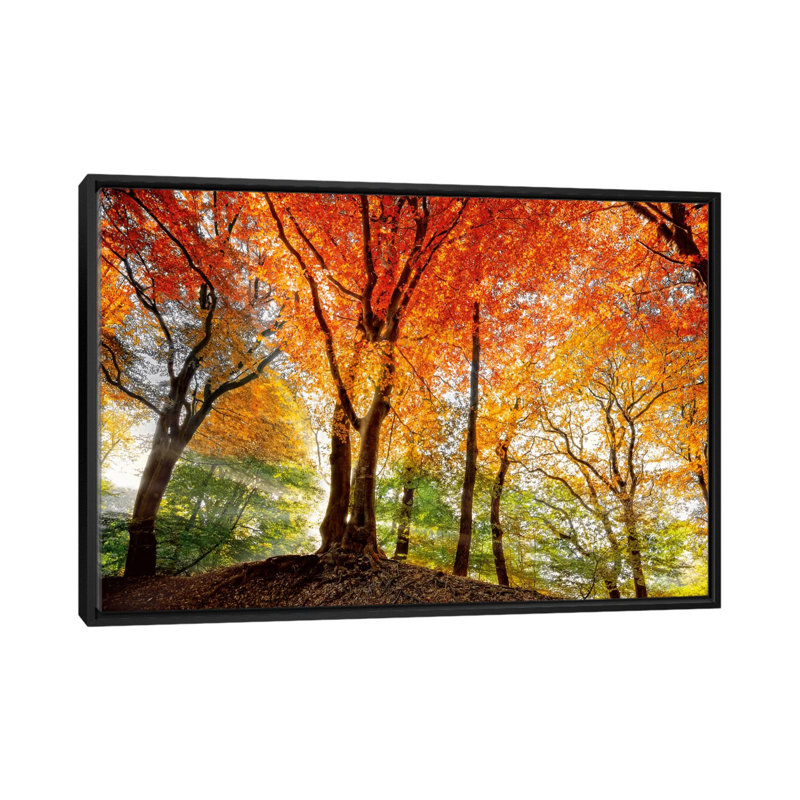 « prism of light », reproduction de photo sur toile, H 18 po x l 26 po x p 1,5 po, Toile avec cadre noir, Pas de tapis
