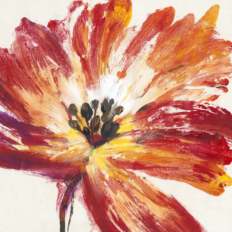Fleur Rouge I by Tim OToole - Wrapped Canvas Painting, 30cm H x 30cm W x 3.8cm D