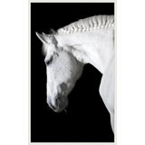 Ollie' Framed Photographic Print on Canvas