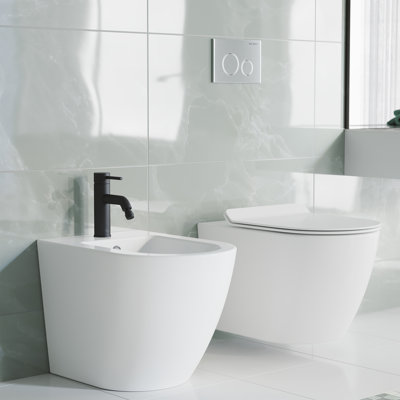 Ivy Bidet Faucet