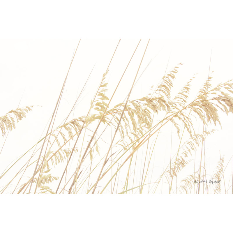 «Blowing in the Wind I» par Elizabeth Urquhart - photographie, Toile avec cadre flottant en érable, Non, H 8 po x l 12 po