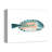 " Patterened Fish "-770908507-770908498