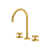 Unlacquered Brass