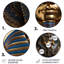 Égypte, pharaons royaux - Art rond en métal-2127053932