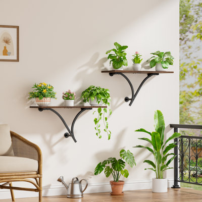 Ensemble de 2 supports muraux pour plantes, jardinières murales à 2 niveaux en métal et bois, faciles à assembler, style arbre, pour exposer plantes, photos et décorations.